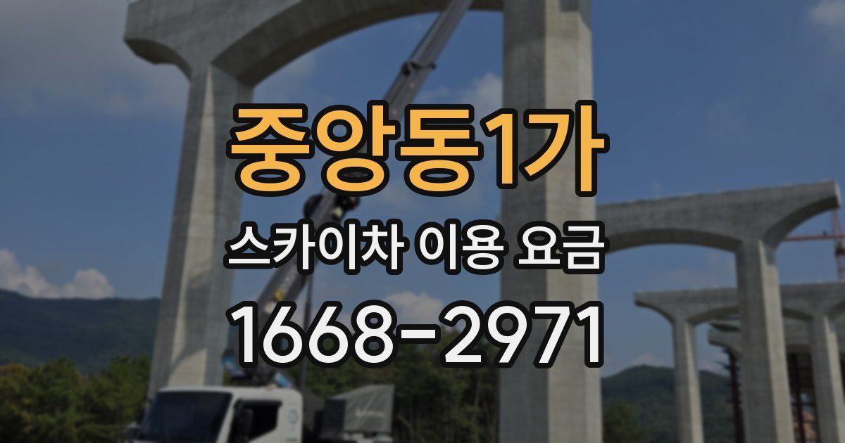 중앙동1가 스카이차 이용 요금