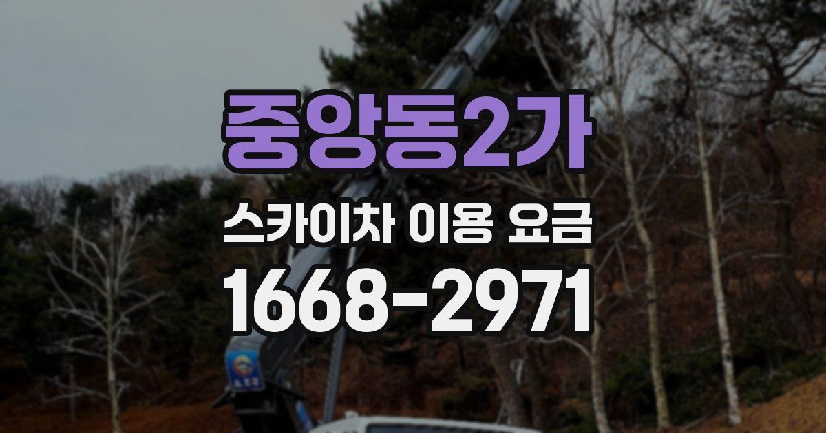 중앙동2가 스카이차 이용 요금