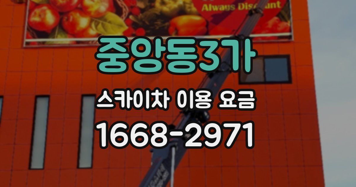 중앙동3가 스카이차 이용 요금