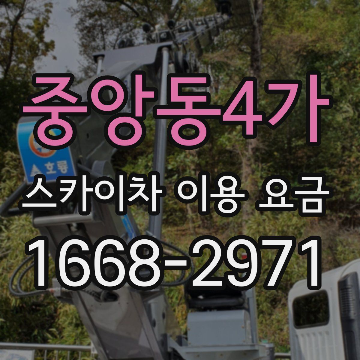 중앙동4가 스카이차 이용 요금