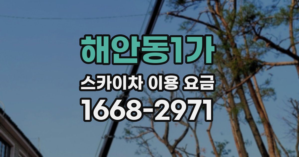 해안동1가 스카이차 이용 요금