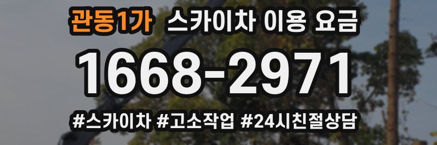 관동1가 스카이차 이용 요금