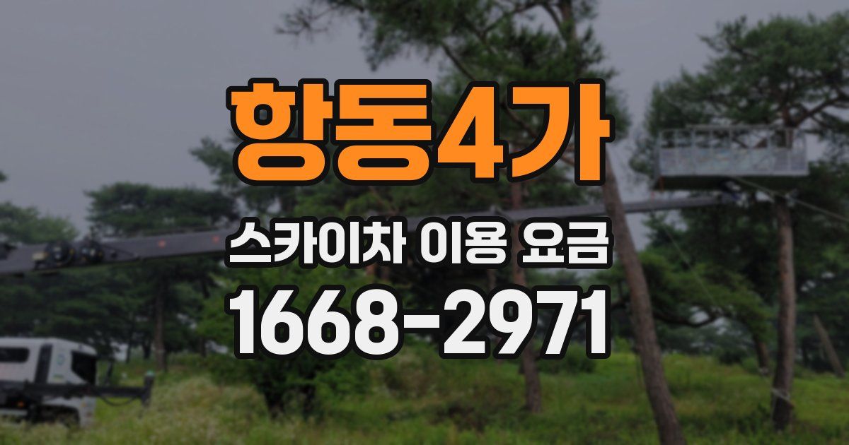 항동4가 스카이차 이용 요금