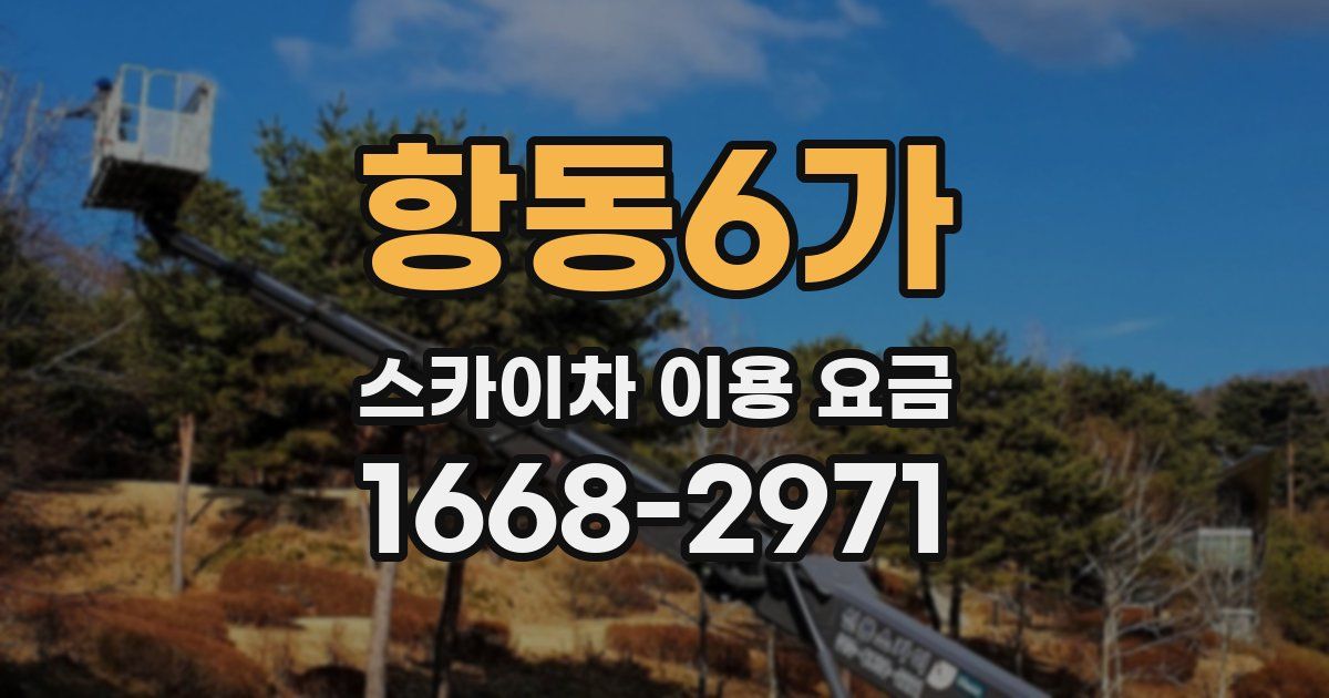 항동6가 스카이차 이용 요금