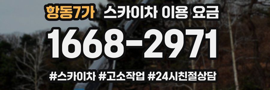 항동7가 스카이차 이용 요금