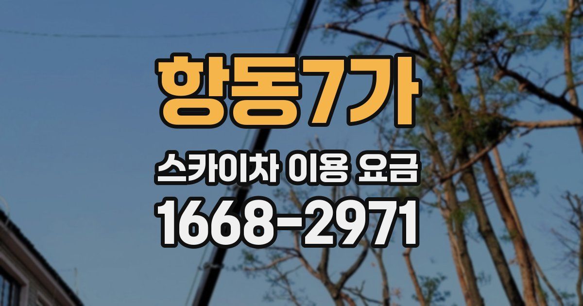 항동7가 스카이차 이용 요금
