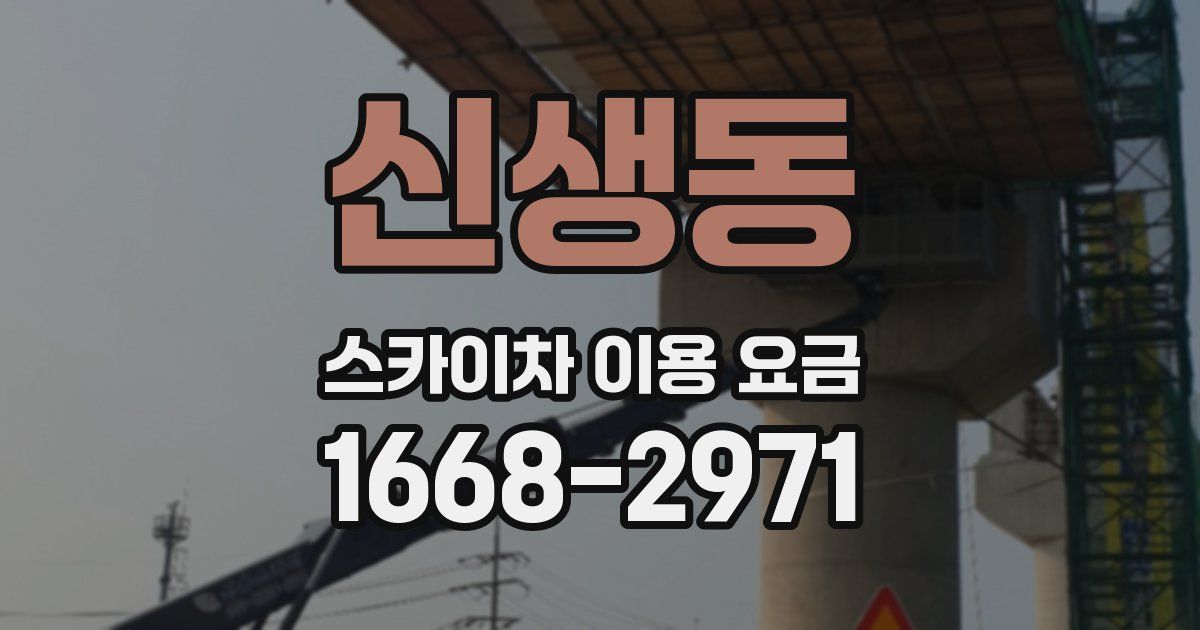 신생동 스카이차 이용 요금