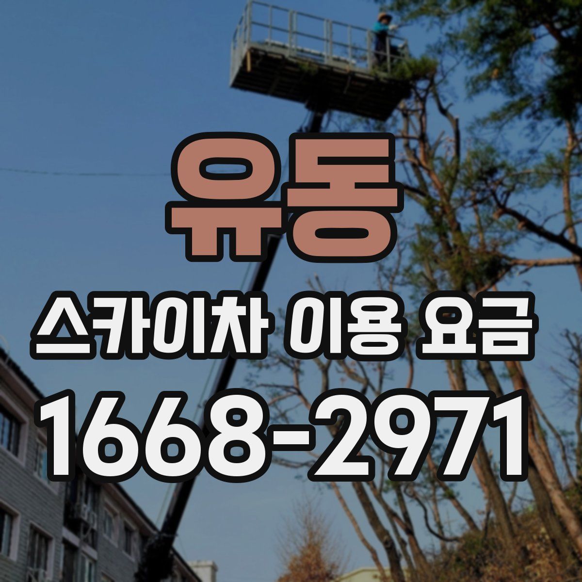 유동 스카이차 이용 요금