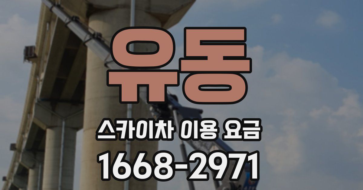 유동 스카이차 이용 요금