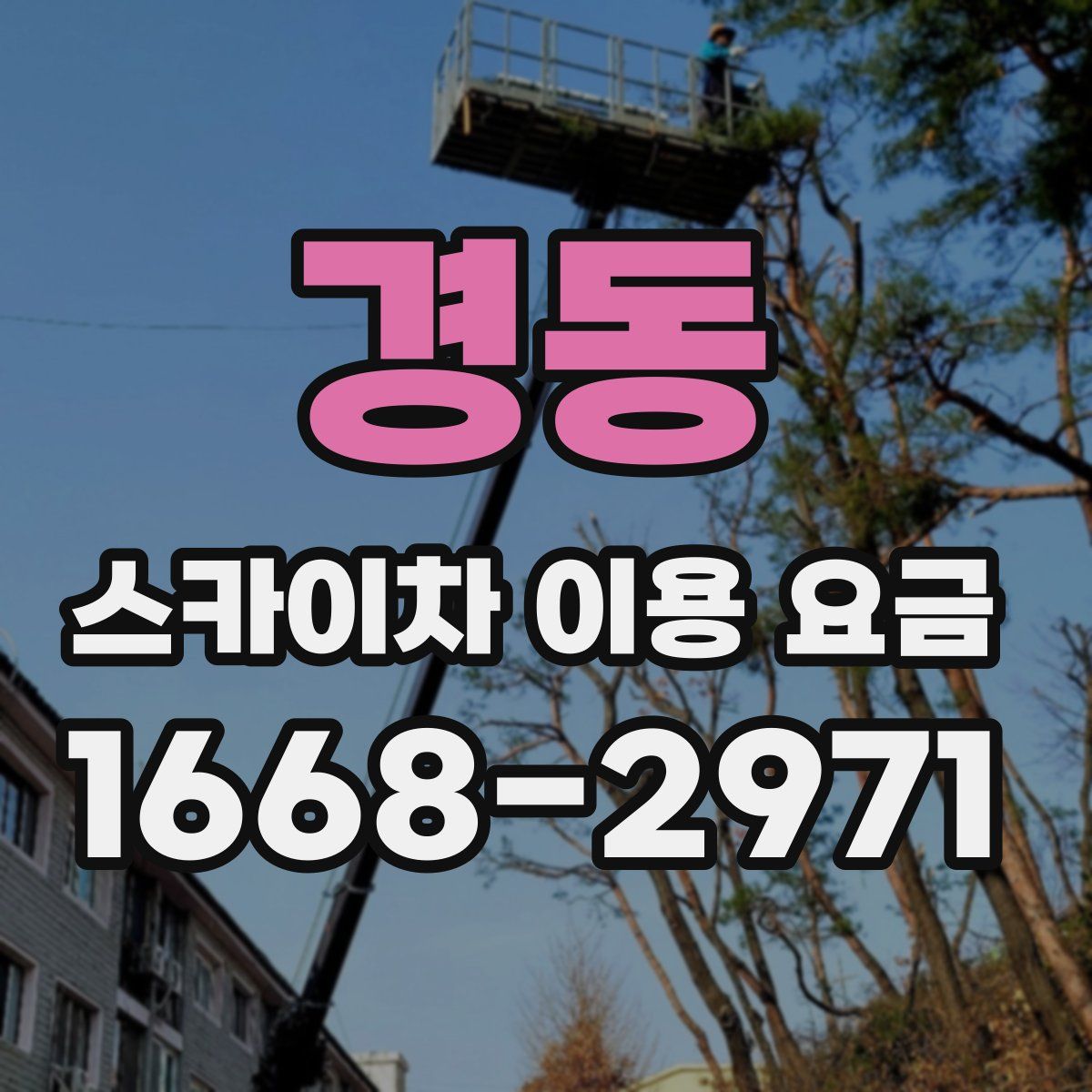 경동 스카이차 이용 요금