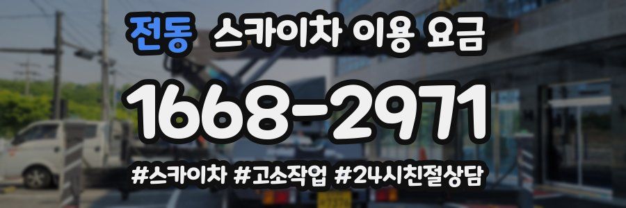 전동 스카이차 이용 요금