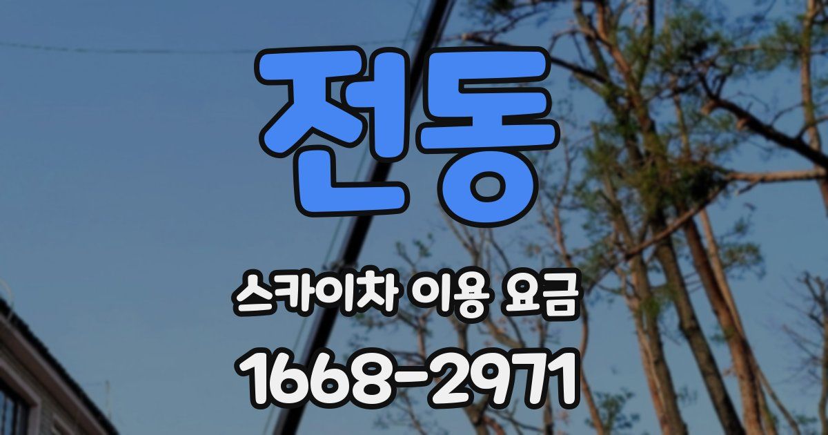 전동 스카이차 이용 요금