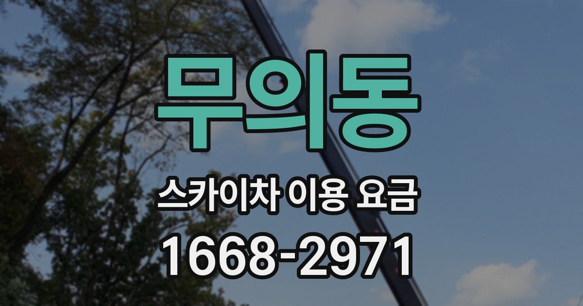 무의동 스카이차 이용 요금