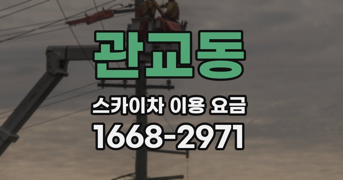 관교동 스카이차 이용 요금