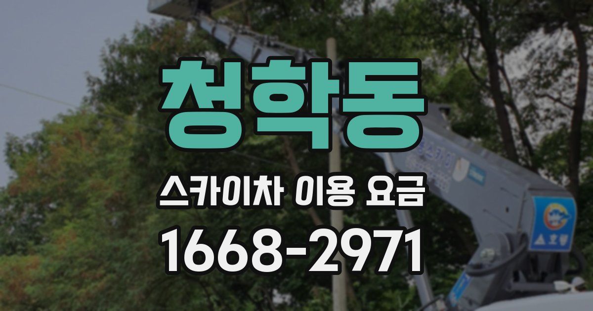 청학동 스카이차 이용 요금