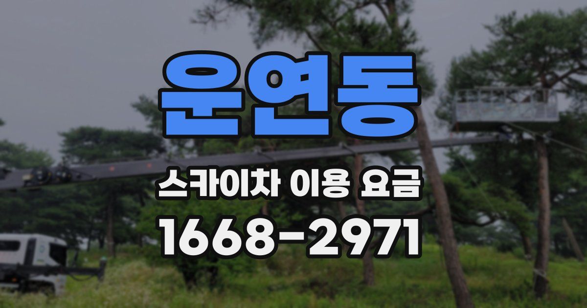 운연동 스카이차 이용 요금