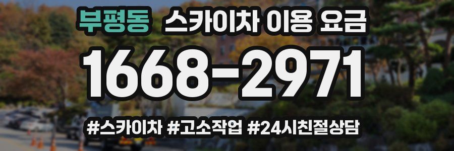 부평동 스카이차 이용 요금