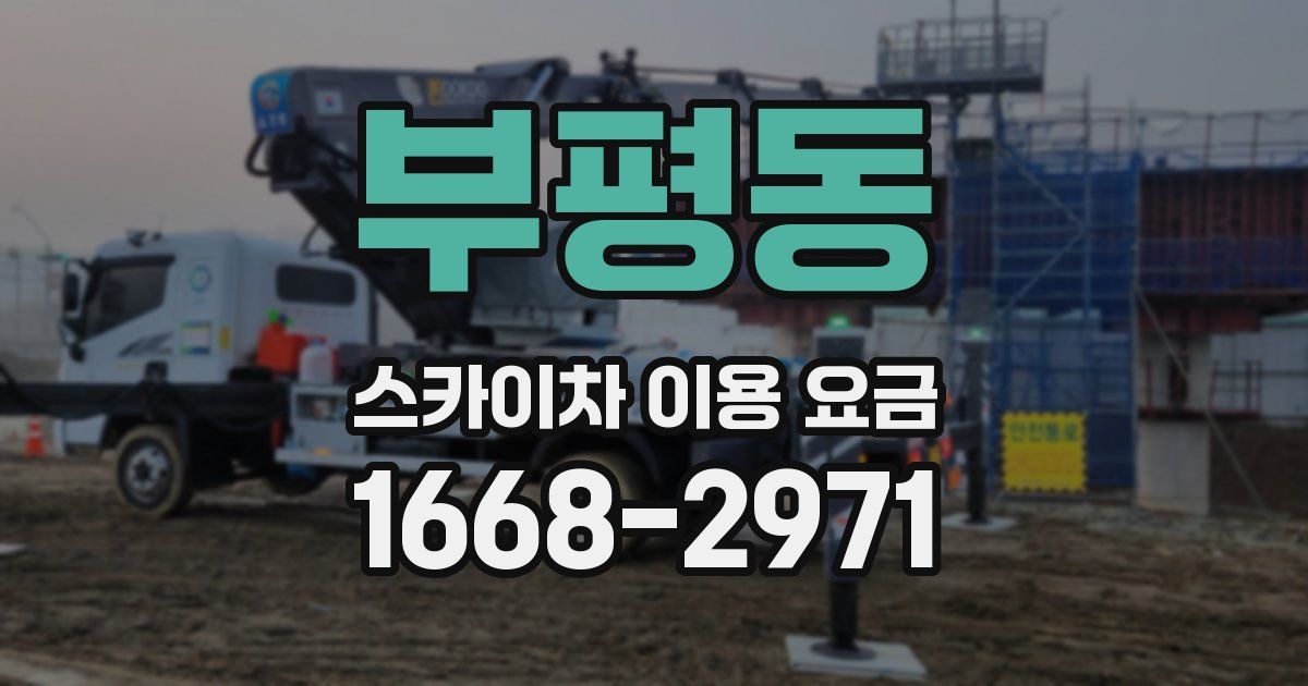 부평동 스카이차 이용 요금