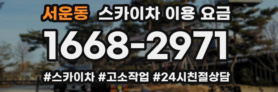 서운동 스카이차 이용 요금