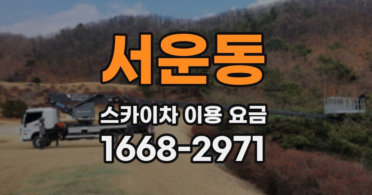 서운동 스카이차 이용 요금