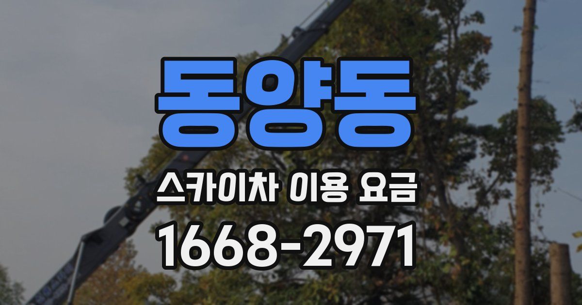 동양동 스카이차 이용 요금