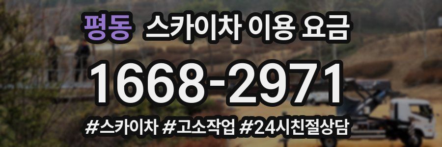 평동 스카이차 이용 요금