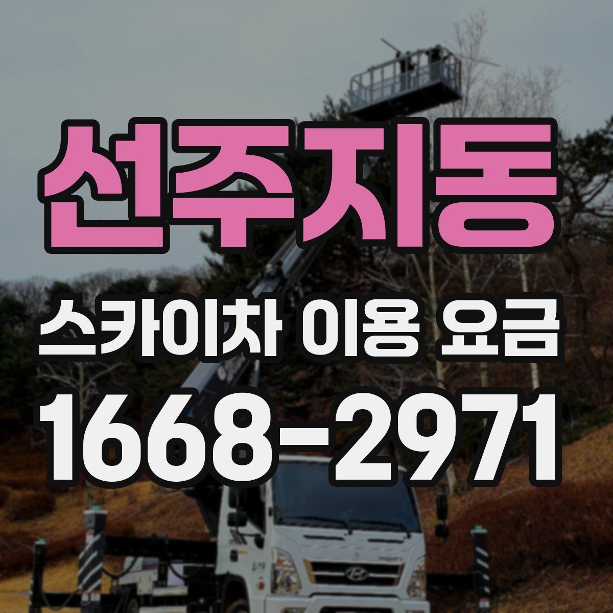 선주지동 스카이차 이용 요금