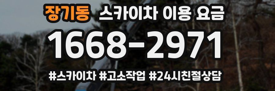 장기동 스카이차 이용 요금