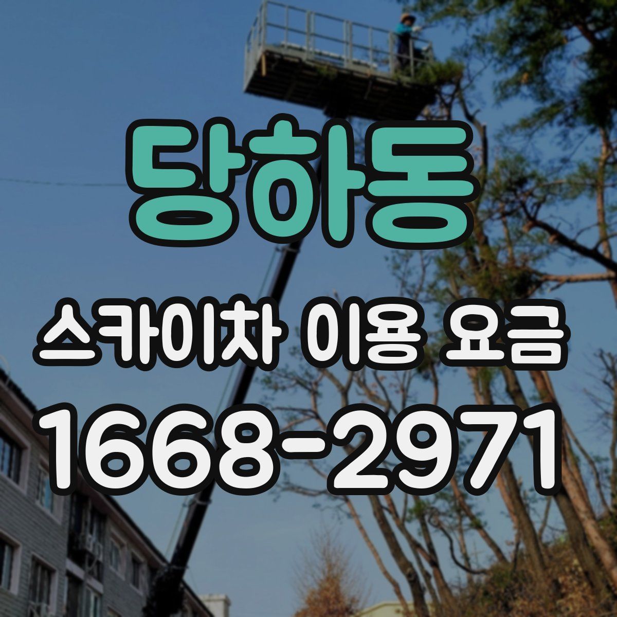 당하동 스카이차 이용 요금