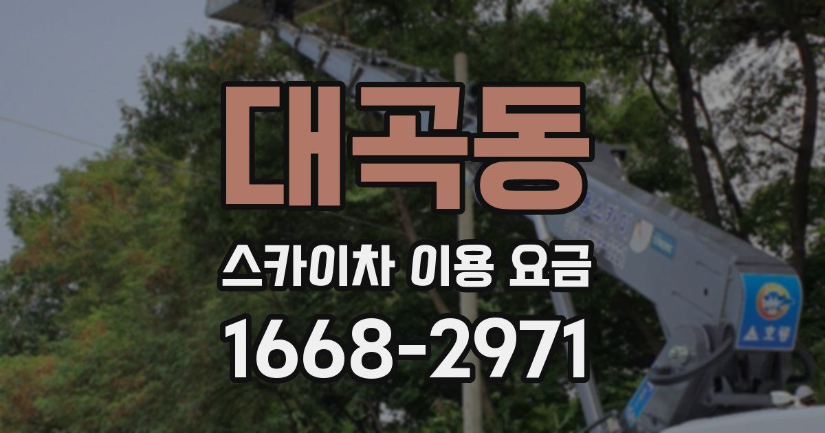 대곡동 스카이차 이용 요금