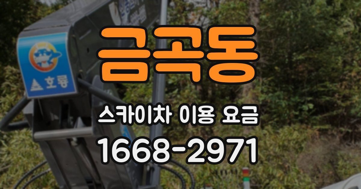 금곡동 스카이차 이용 요금
