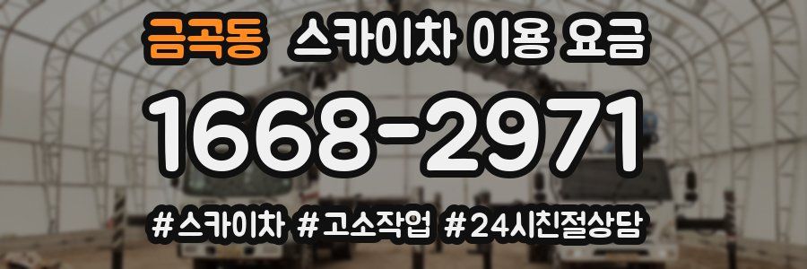 금곡동 스카이차 이용 요금
