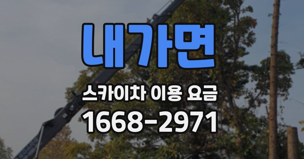 내가면 스카이차 이용 요금