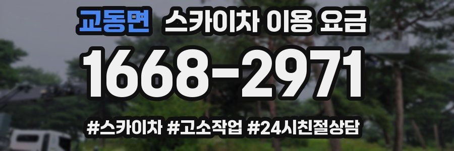교동면 스카이차 이용 요금