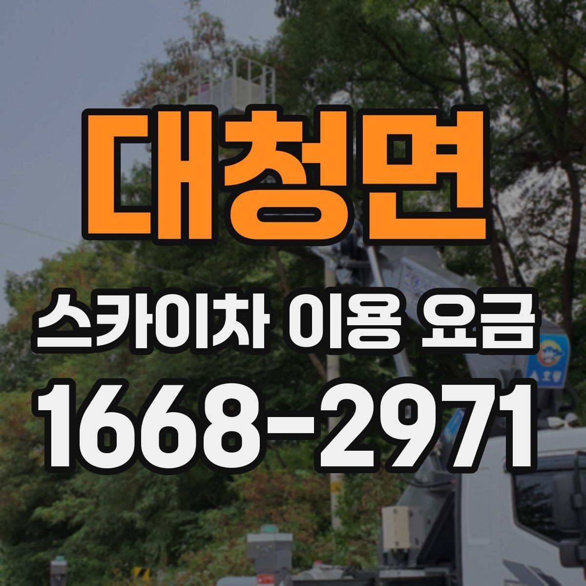대청면 스카이차 이용 요금 확인 전 알아둘 실용 정보