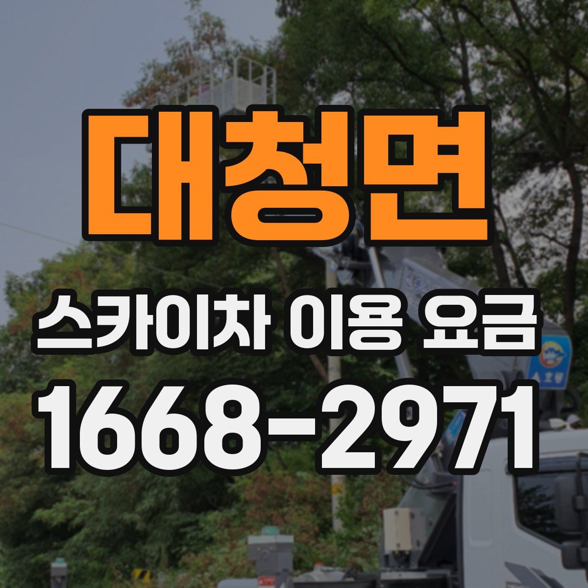 대청면 스카이차 이용 요금