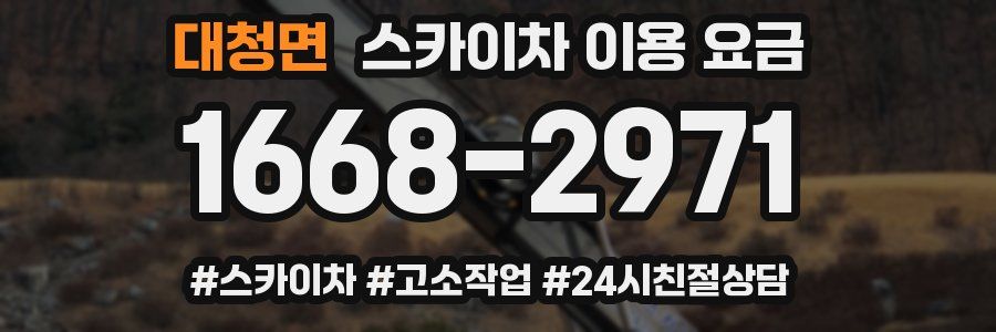 대청면 스카이차 이용 요금