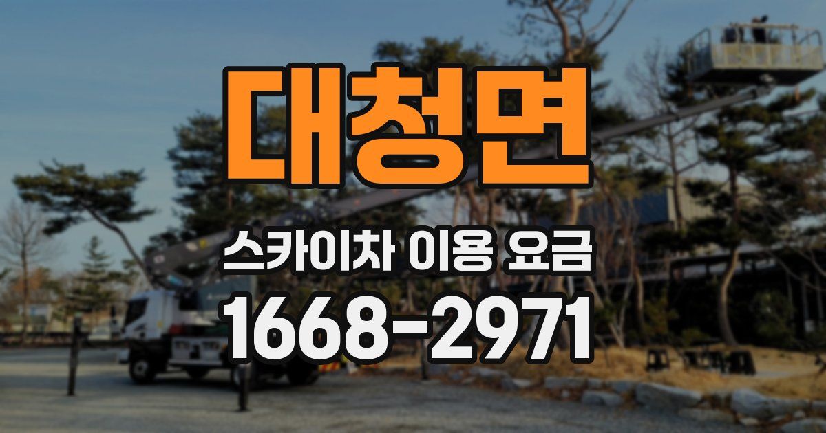 대청면 스카이차 이용 요금