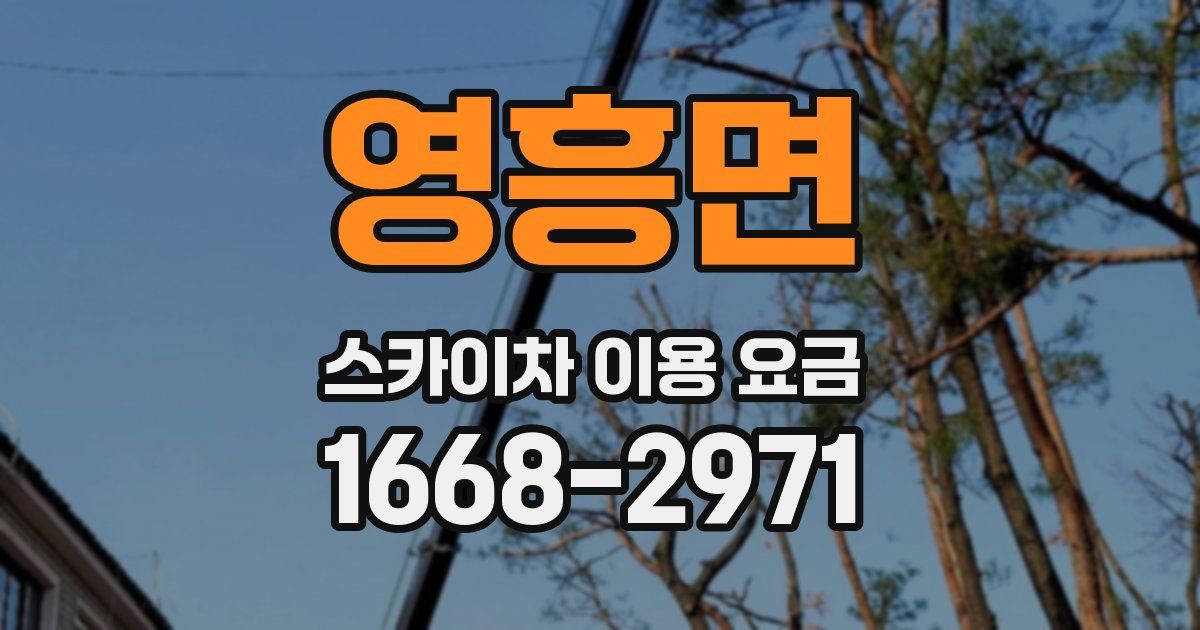 영흥면 스카이차 이용 요금
