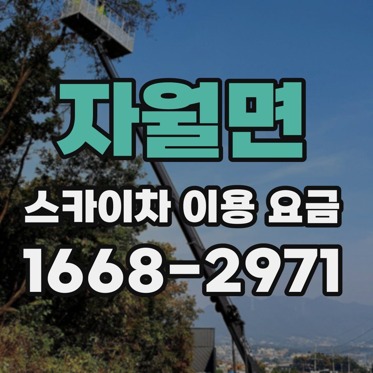 자월면 스카이차 이용 요금