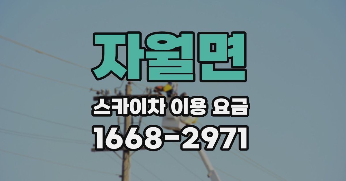 자월면 스카이차 이용 요금