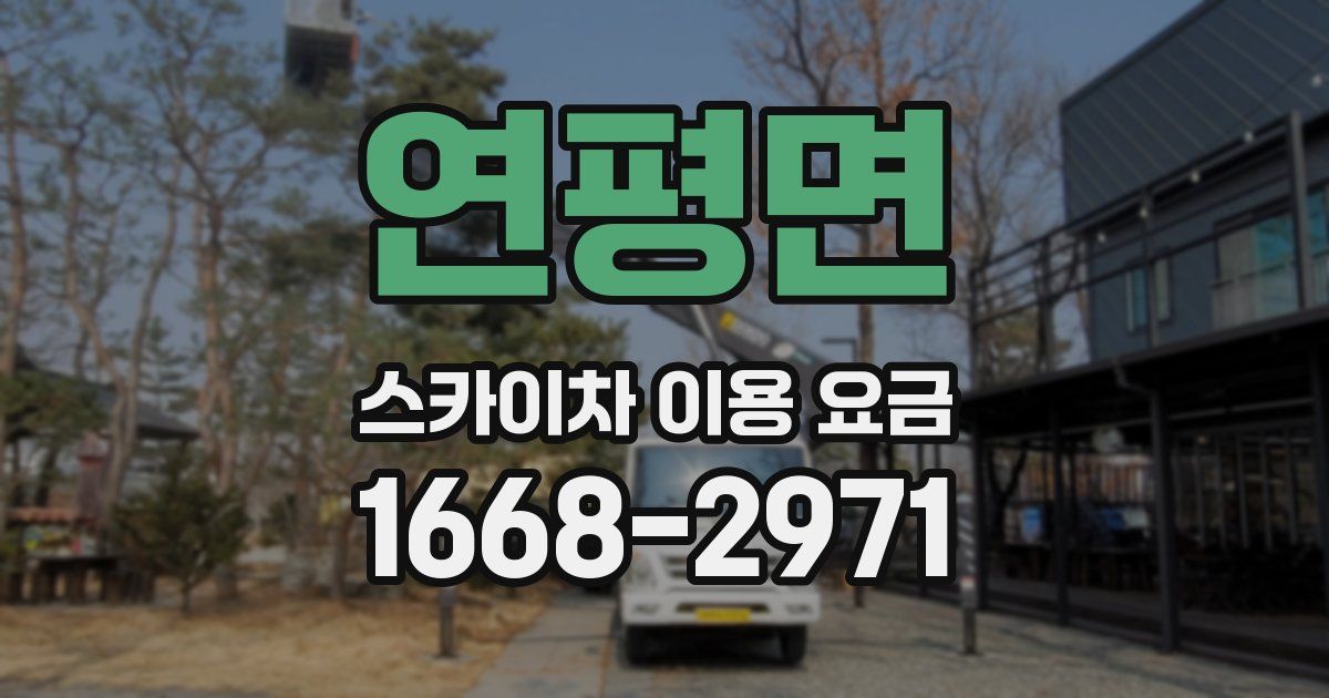 연평면 스카이차 이용 요금