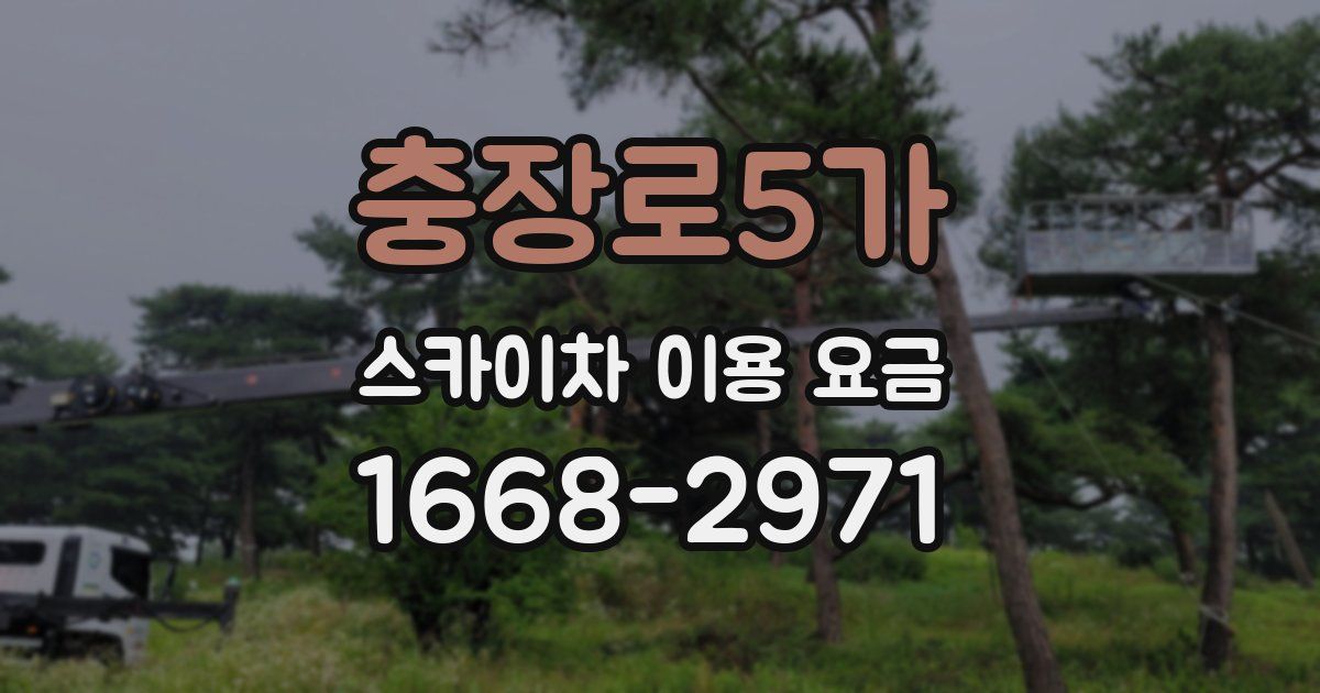 충장로5가 스카이차 이용 요금