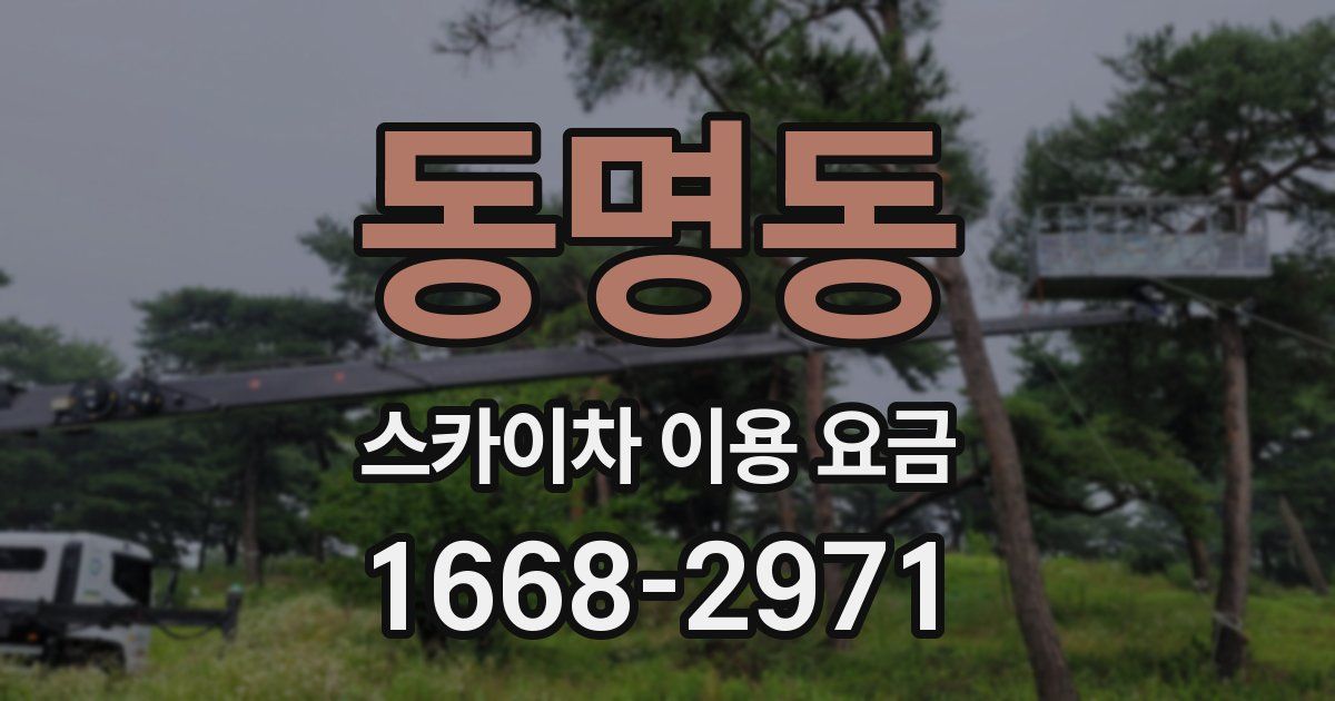 동명동 스카이차 이용 요금