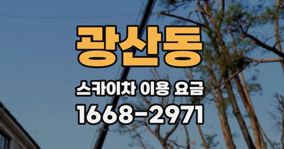 광산동 스카이차 이용 요금