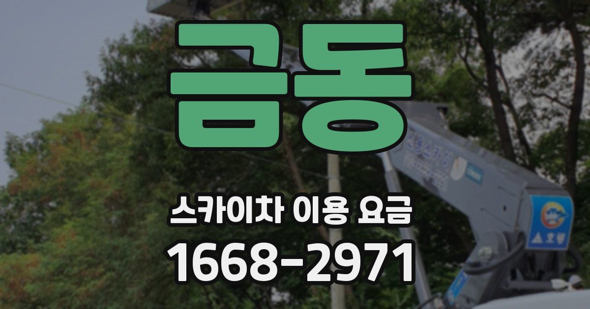 금동 스카이차 이용 요금