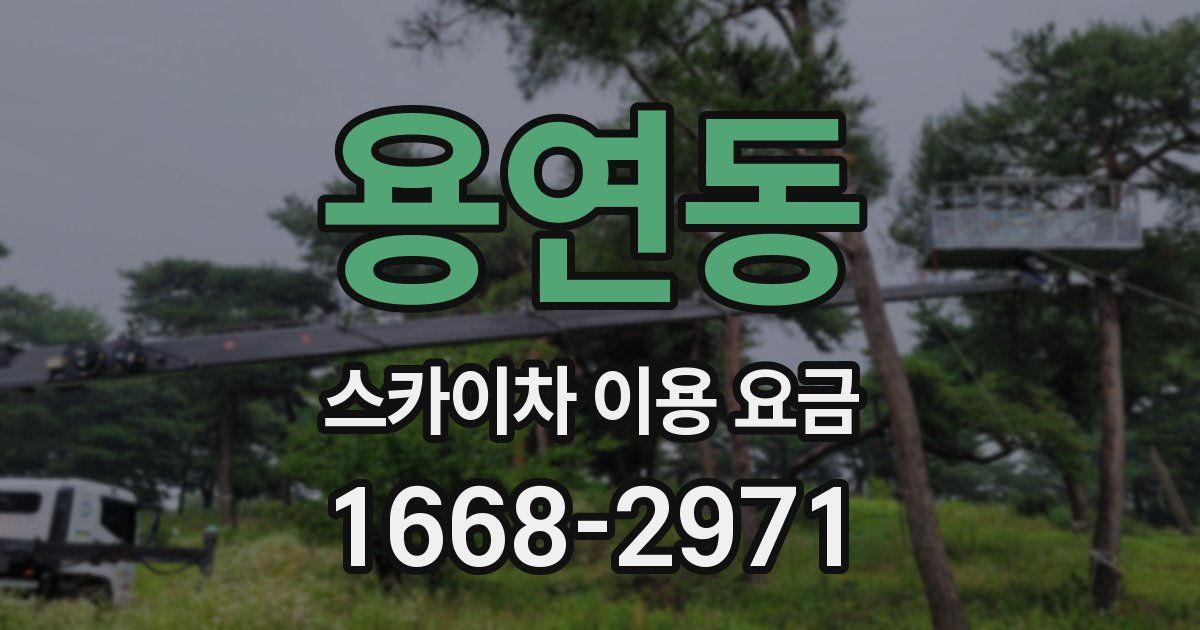 용연동 스카이차 이용 요금