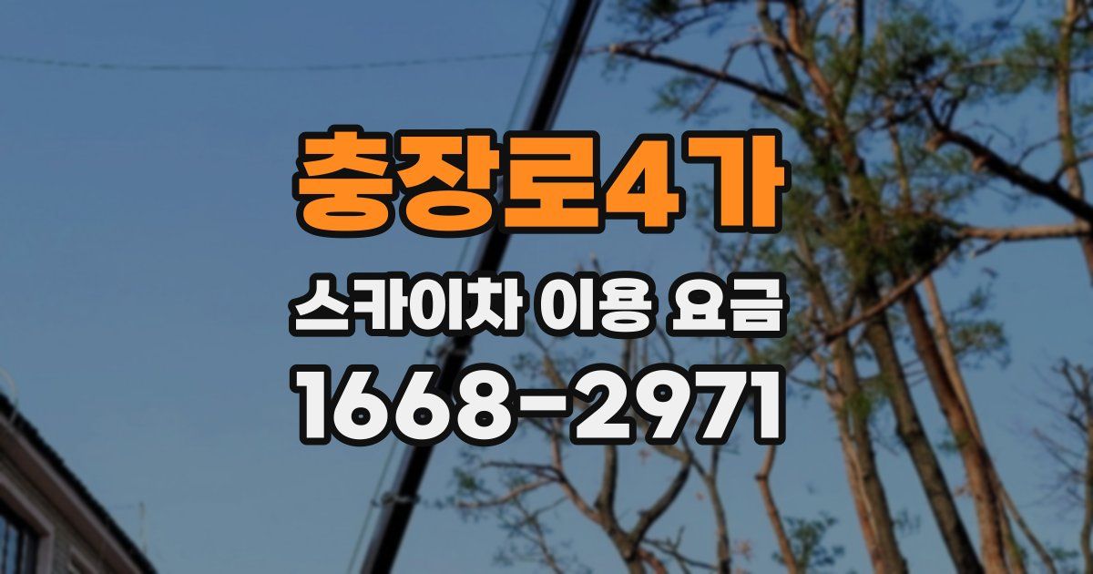 충장로4가 스카이차 이용 요금