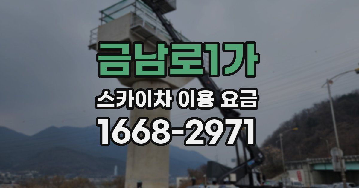 금남로1가 스카이차 이용 요금