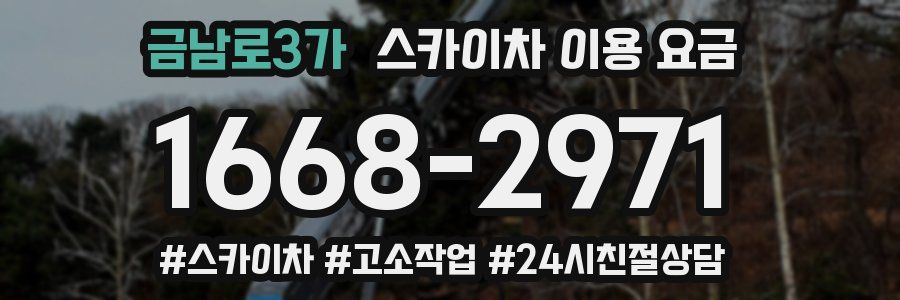 금남로3가 스카이차 이용 요금